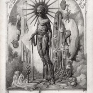 Asunción del soporte, sangre barroca