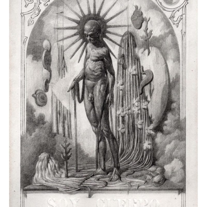 Asunción del soporte web w