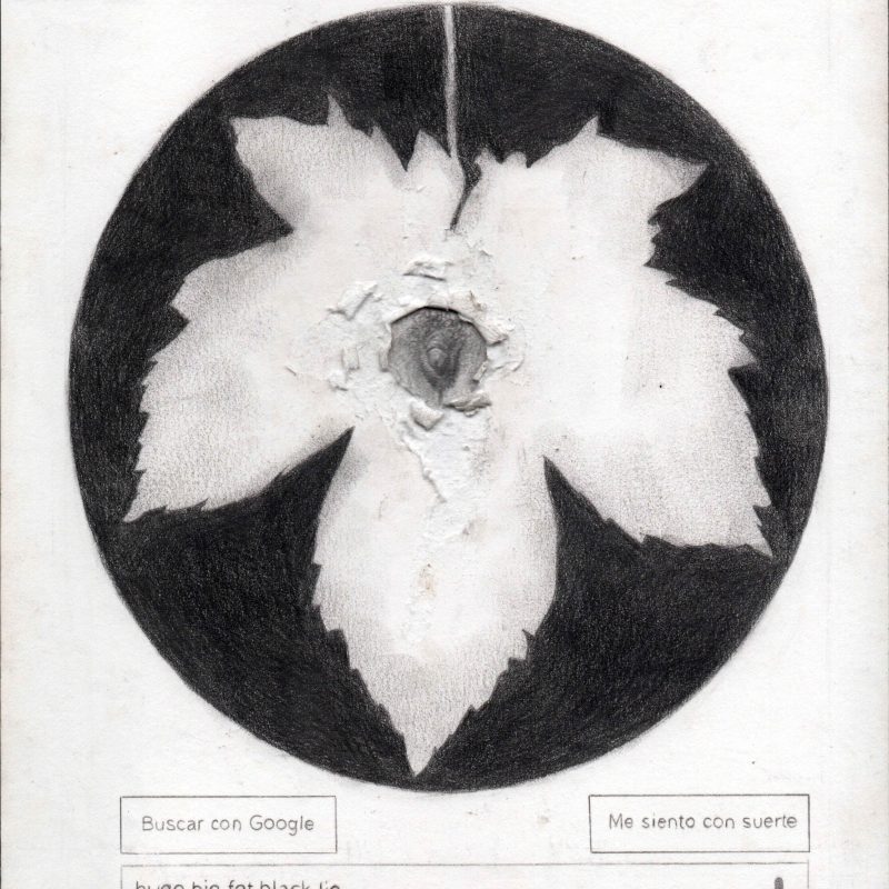 Gramaje de la hoja de parra web