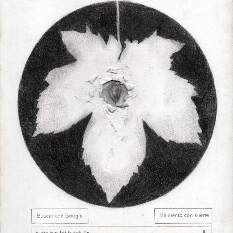 Gramaje de la hoja de parra web