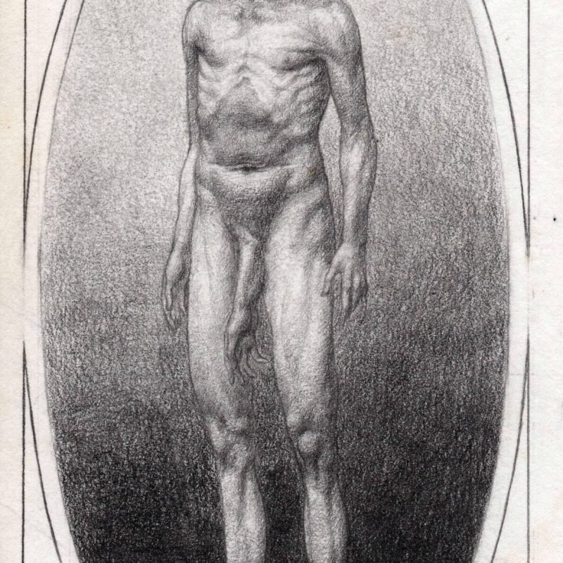 retrato del intervenido web